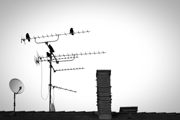 Pourquoi mon antenne TV ne capte-t-elle pas les chaînes ?